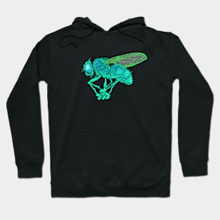 Fly'd Hoodie